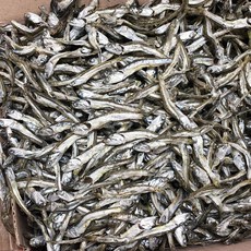 [며르치] 남해안 햇 고바멸치 안주용 볶음용 조림용 고추장멸치 중멸치 1