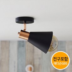 에디슨등g95