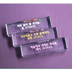 강아지이빨보관