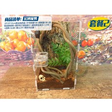 아크릴 파충기 키트 사파이어 화려한 우림 거미 속눈썹 수궁나으리 나무개구리 사육상자, 개, 세트 2
