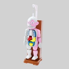 JC 어린이를위한 재미있는 보드 게임-끔찍한 소리를 가진 인간의 장기 바디 모델 장난감, As Described