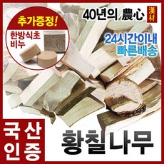 자애인- 황칠나무 대용량 3kg 황칠목 황칠나무차 국내산(전남완도), 단품