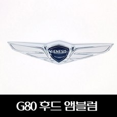 g80개조