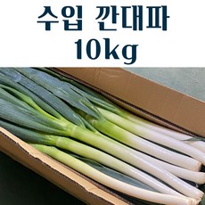 수입산대파