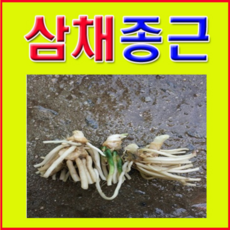 198f9fcc1079632d9193006e07517471aad78aed5ee3961f73ab3c4883ca.png