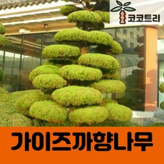 fd957eb190e7baebce1cf2720869be8f0d1b6b91a53b12caa2ad1298c50e.jpg