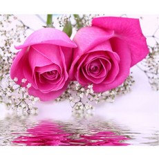 f5bbaafcd17dfc7bba268ec6afe60cb916681abe5a98e5b9839e06a22616.png