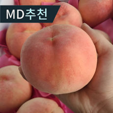 [품질보장] 백화점납품 백도 딱딱이 복숭아 고당도 농장직송 창고제품X 로얄과 1kg 2kg 3kg 4kg 5kg, 1박스, 2kg 로얄과(14개 내외)