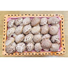 송화고버섯 백화고 선물용 1.5kg 송정농원 친환경 무농약 당일수확, 1개