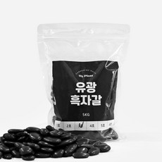 마이플랜트 유광흑자갈 5kg, 5호(30~50mm), 5000g, 1개