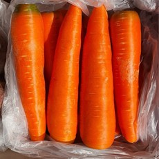 세척 당근 최상품 신선 carrot 5kg 10kg 이중 박스포장, 1박스, 3kg (개당300g내외)
