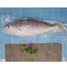 기타 국산 조기 참조기 1팩 3마리 중 사이즈 240g 냉동