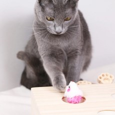 혼자움직이는장난감