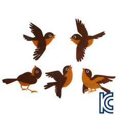 펠트참새
