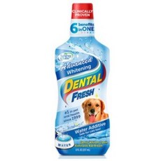 (시너지랩) 덴탈 후레쉬 어드밴스 화이트닝_503ml, 503ml, 1개, 503ml