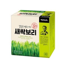 쌍계명차 김동곤 명인이 만든 새싹보리 40티백, 700mg, 40개입, 8개