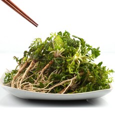 최상품선별 해남 세척 손질 냉이, 1박스, 500g