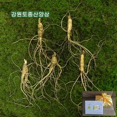 삼양춘생약주