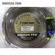 시그넘프로파이어스톰