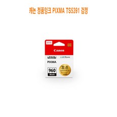 C 캐논 정품잉크 PIXMA TS5391 검정, 단일 수량, 단일 색상