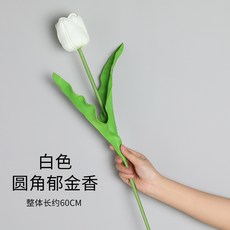 0c6a3efb61b8529eeb15c4bfa03a81403d2e713daab10de7f53ed40dae96.jpg