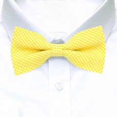 노란색나비넥타이