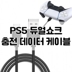 호환 플스5 PS5 케이블 듀얼센스 C타입 USB 충전 무선 컨트롤러 3M, PS5 케이블 2M(블랙)벌크