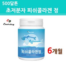 필라테스6개월