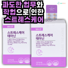 [약국정식스토어] 스트레스 영양제 불안 긴장완화 스트레스케어 테아닌, 2개, 60정