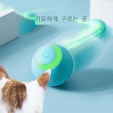 짭새