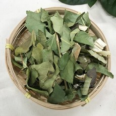완도 황칠나무 줄기 건잎1kg, 황칠나무줄기건잎1kg