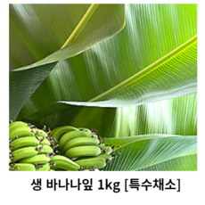 태국바나나