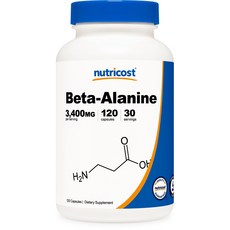 코스트코팬히터