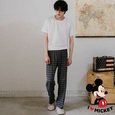 노먼도이지
