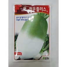 청운무