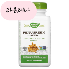 홈쇼핑 호로파 종자 씨앗 추출물 610mg 대용량 320캡슐 수유보조 페뉴그릭, 1개, 320정