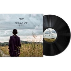 (LP) 정미조 - 바람같은 날을 살다가 (180g) (Gatefold) (Black Vinyl), 단품