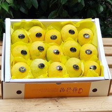 반짝할인 황금향 3kg(14~17수 선물용) 3box 중과로 채워진 알뜰한 가격 상큼한 맛! 박스무게포함