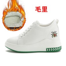 대구거미콘서트