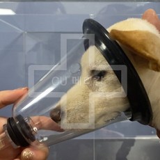 [단품구매] 반려동물 전용 산소마스크 / 강아지 고양이 산소호흡기, 기본세트