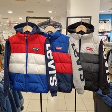 팔멕스텔라후드