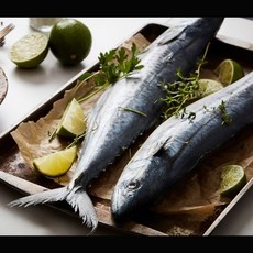 제주바다 제주 삼치 (대_팩당 300~400g), 1박스, 1.5~2kg(대) 5팩