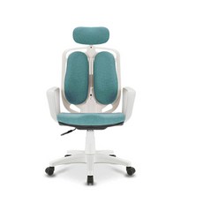스노우L 시스템 의자 (ST-WDH501), 스카이 블루
