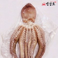 국산 손질 문어 900g, 1개