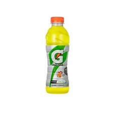 순성왕매실600ml