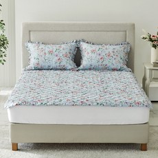 로라애슐리스프레드q