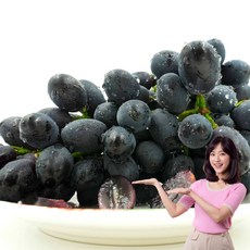 청담농수산 국내산 블랙다이아포도 헤이미엔샤, 1개, 가정용 1kg (2-5송이)