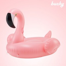 버키플라밍고튜브