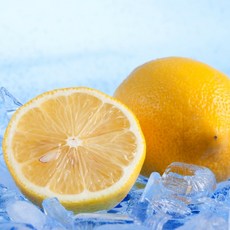 [지구다움]천연 비타민C 레몬 프리미엄 팬시레몬 10개 20개 30 개 70개 140개