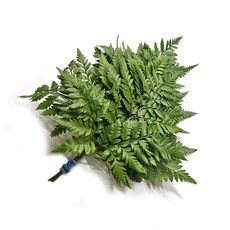 6f1a3053bf2506f9b11bd56ab502d445b25a5e328fdb3e2d414351681570.jpg